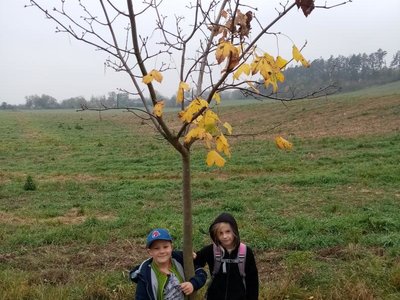 Černín - podzim 2019