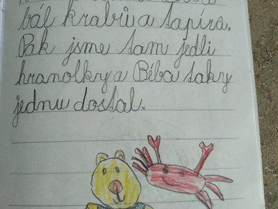 Jak to bylo dál ...