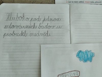 Medvěd, který nebyl - přepis Barunky Ž.