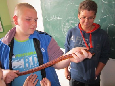 Had ve třídě 7.A (23. 10. 2013)