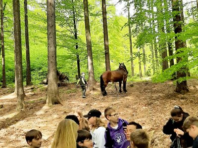 Lesní pedagogika - Jince