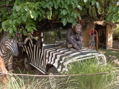 Výlet do ZOO Plasy
