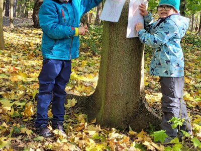 Projekt: Podzim v lese