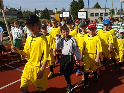 McDonalds Cupu Vlašim - krajské kolo (22.5. 2014)