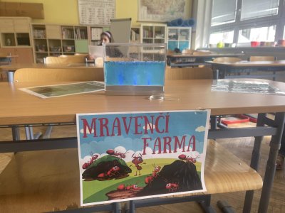 Projektový den “Jaro” 22.3.2024