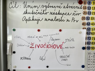 Kriteriální hodnocení ve výtvarné výchově a prvouce