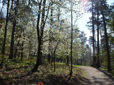 Velikonoce na Knihově - 2. stupeň    17.4.2025