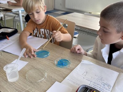 PŘÍRODOVĚDNÝ KROUŽEK: VÁŽENÍ A KRYSTALIZACE