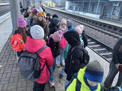 Nerosty a minerály - Národní muzeum