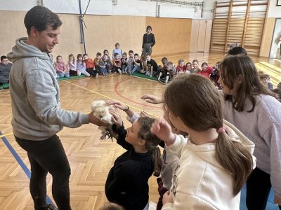 Program o zvířátkách školního klubu a školní družiny