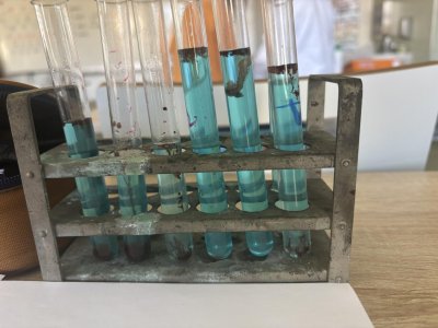 PŘÍRODOVĚDNÝ KROUŽEK: JAK VZNIKL ŽIVOT?