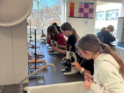 Laboratoř