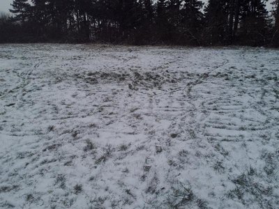 Bludiště :)