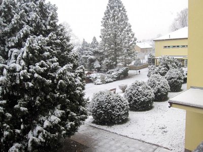 První sníh (18.12.2017)
