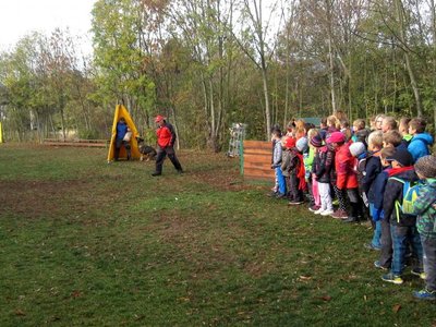 Branné dny  - 1.stupeň - kynologie (1.- 2.11.2018)