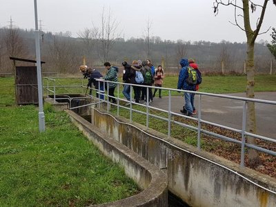 Exkurze 8.ABC na ČOV Beroun (22.11. 2018)