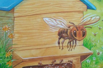 Čtení o včelách