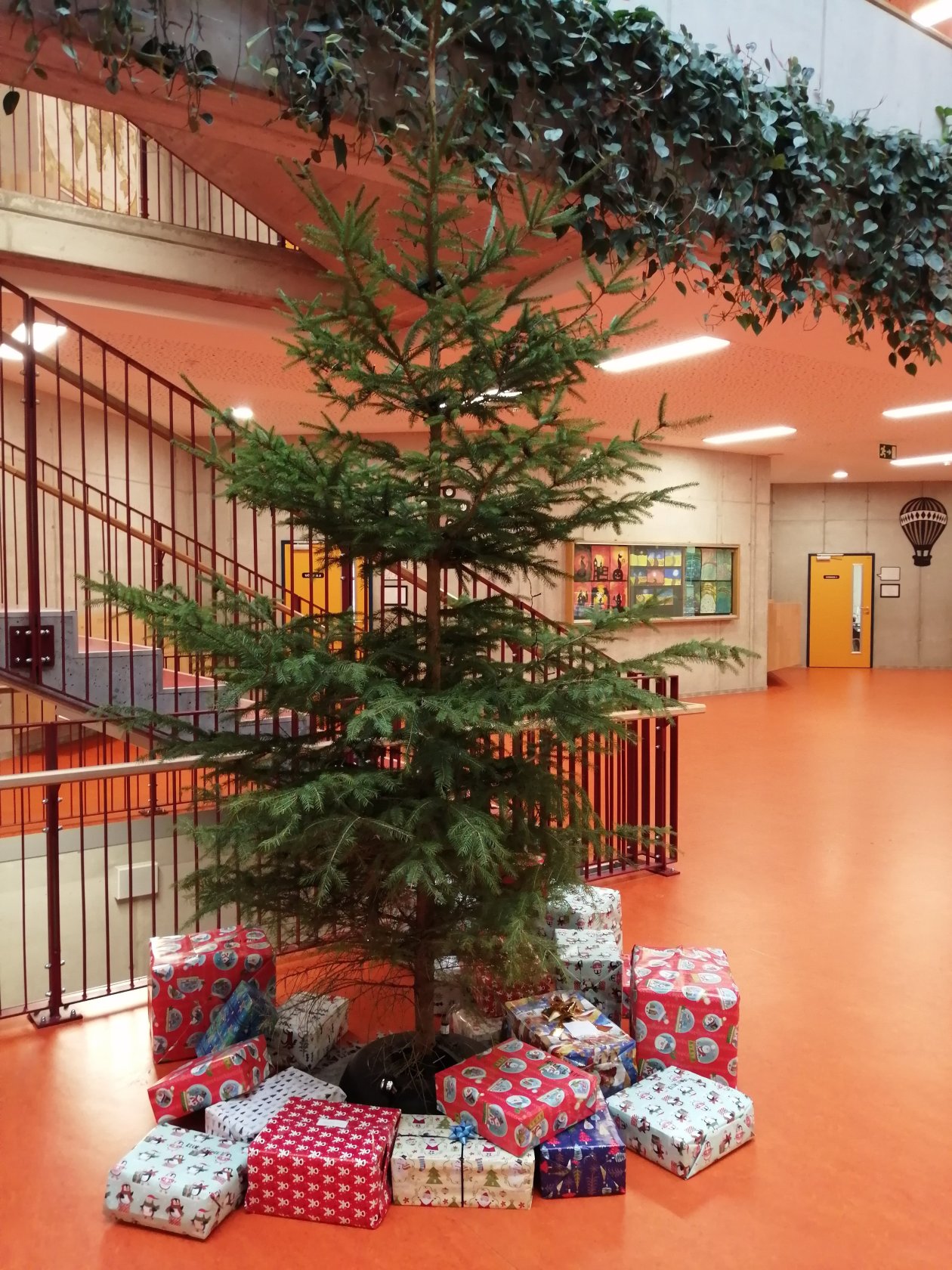 Charitativní sbírka KRABICE OD BOT